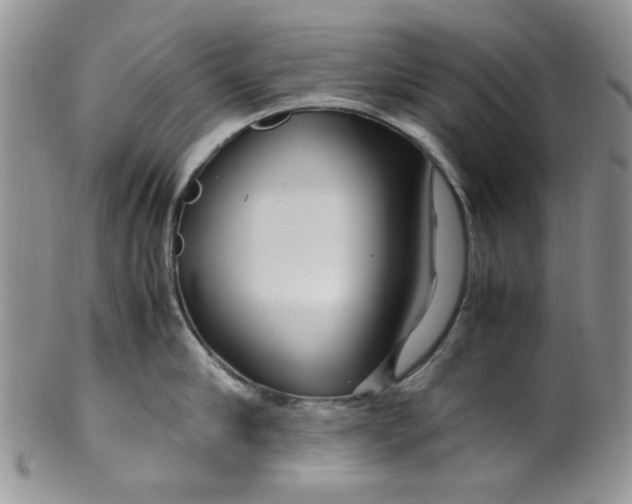 X0000099490910200806051056