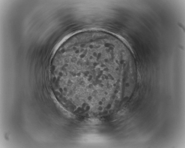 X0000099490911200806051055