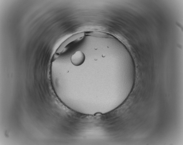 X0000099490912200806051055