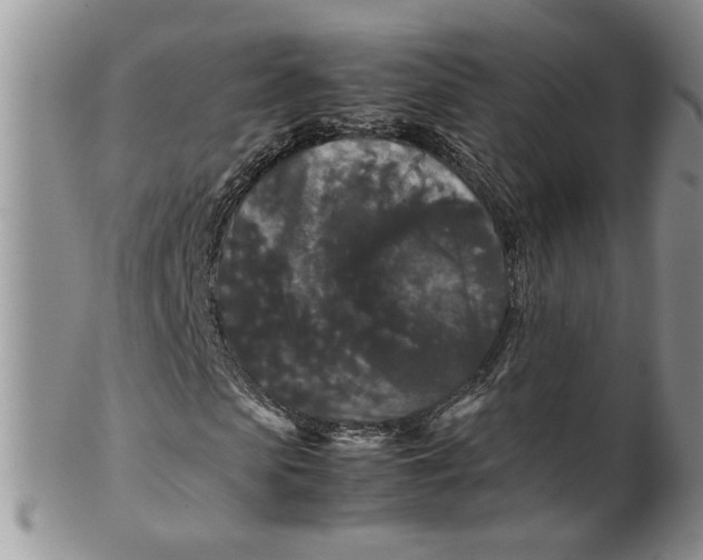 X0000099490913200806051055