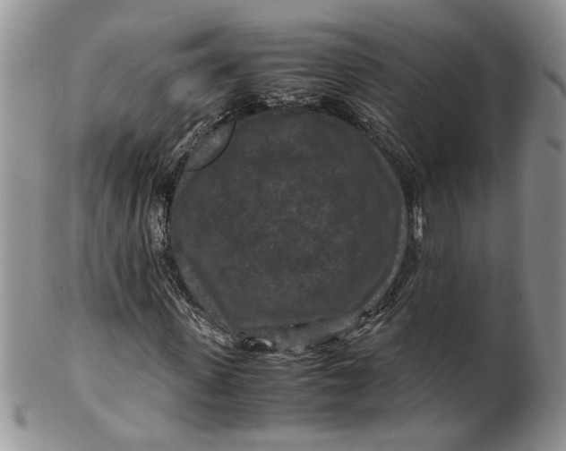 X0000099490915200806051055