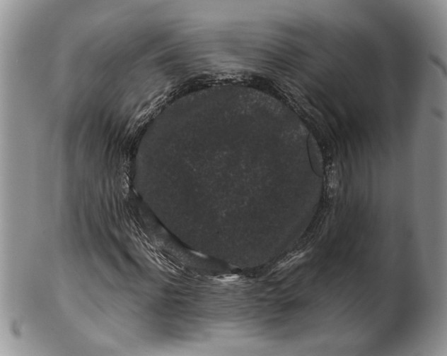 X0000099490916200806051055