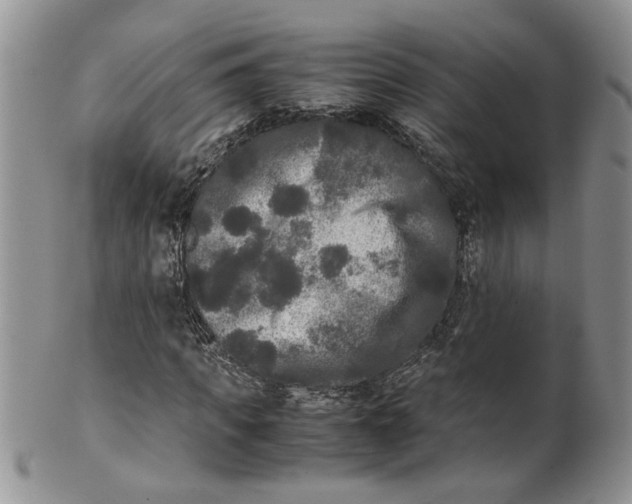 X0000099490917200806051055