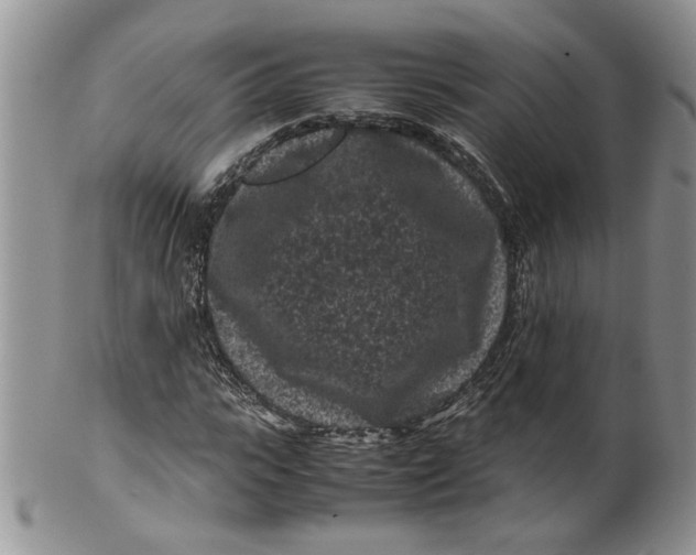 X0000099490919200806051055