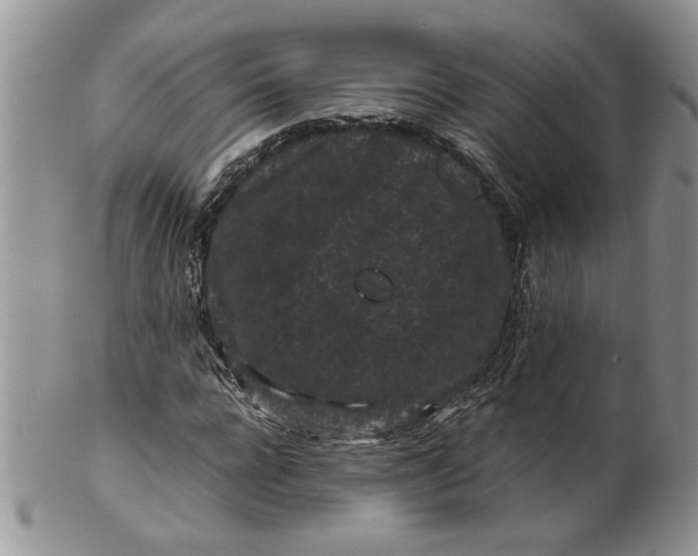 X0000099490920200806051055