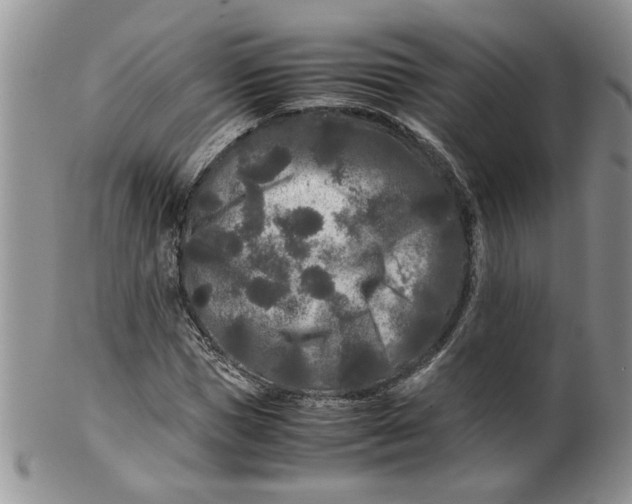 X0000099490921200806051055