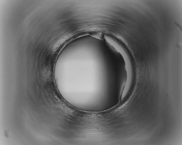 X0000099490922200806051055