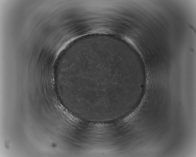 X0000099490923200806051055