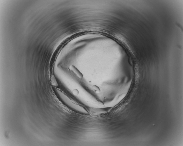 X0000099490924200806051055