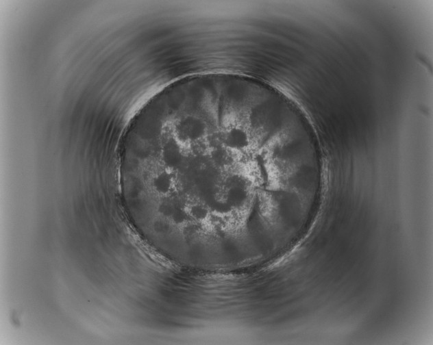 X0000099490925200806051055