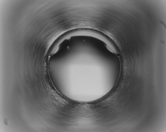 X0000099490926200806051055