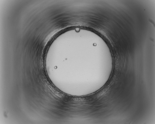 X0000099490927200806051055