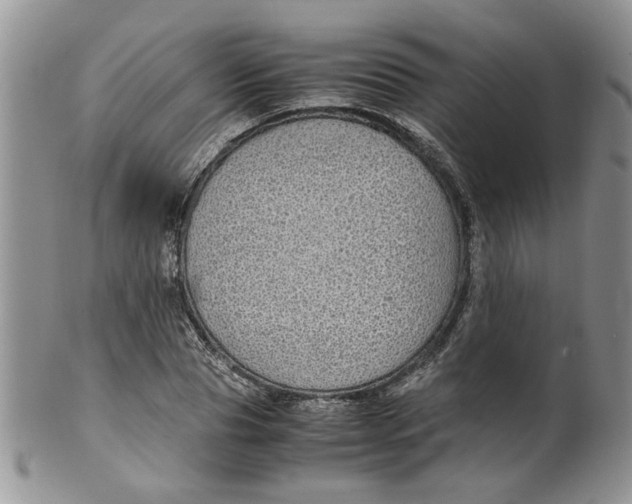 X0000099490929200806051055