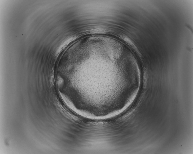 X0000099490930200806051055