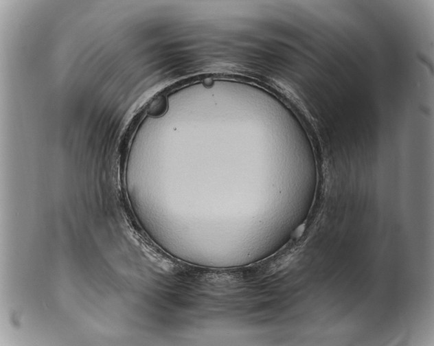 X0000099490931200806051055