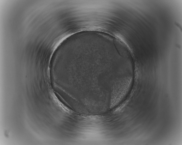 X0000099490932200806051055