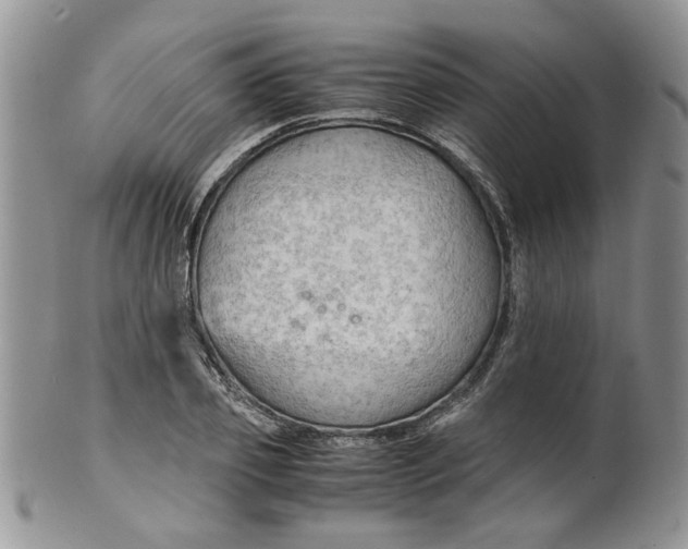 X0000099490933200806051055