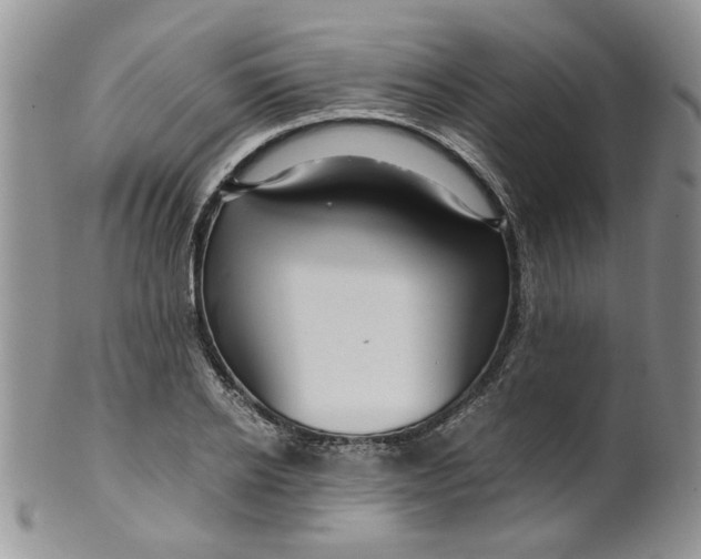 X0000099490934200806051055