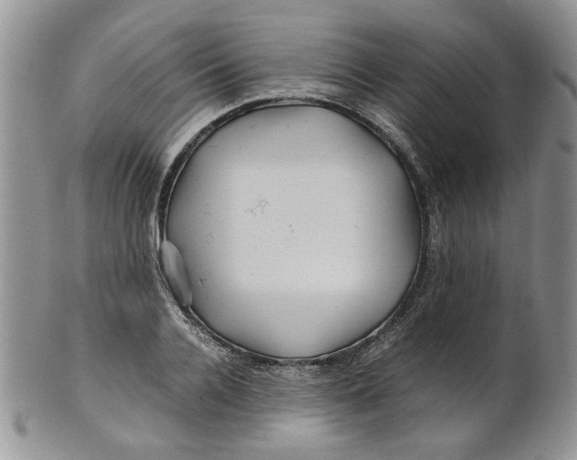 X0000099490936200806051055