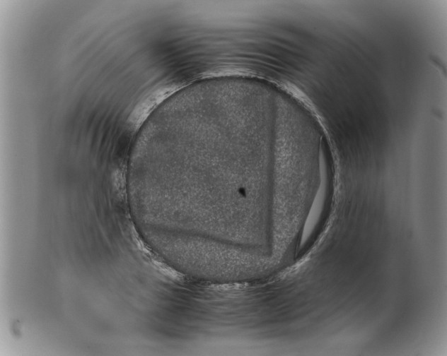 X0000099490937200806051055