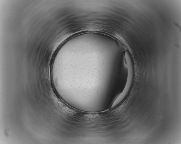 X0000099490939200806051055