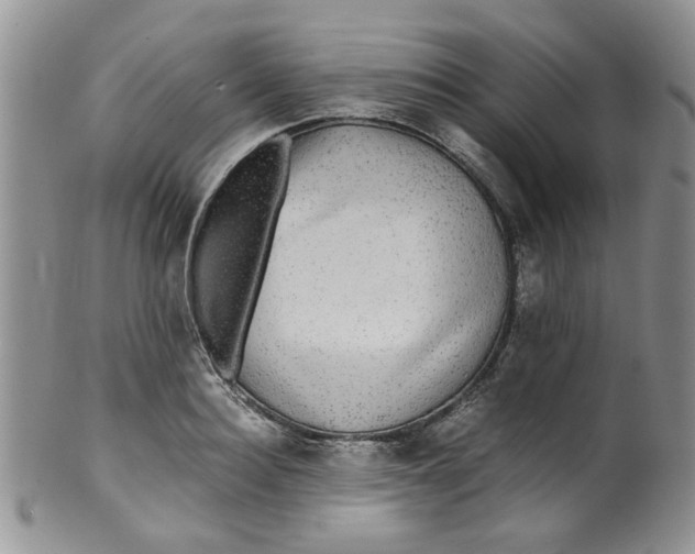 X0000099490940200806051055