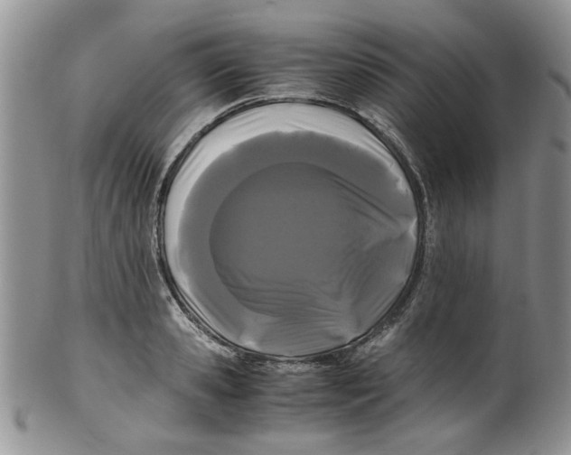 X0000099490941200806051055