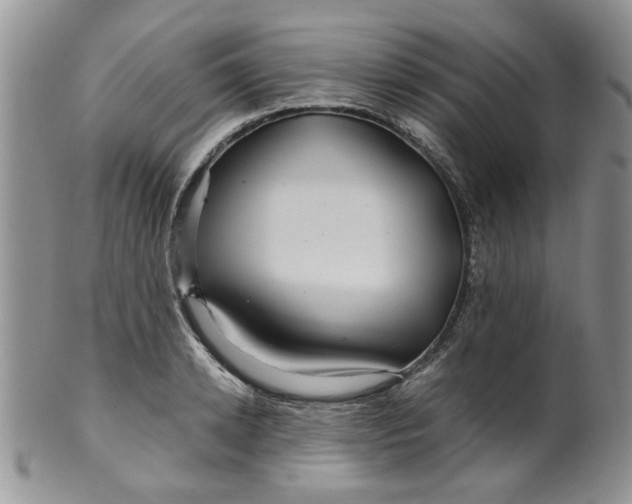 X0000099490942200806051055