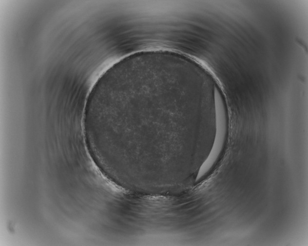 X0000099490943200806051055