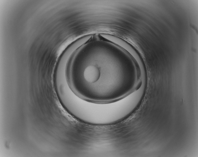 X0000099490944200806051055