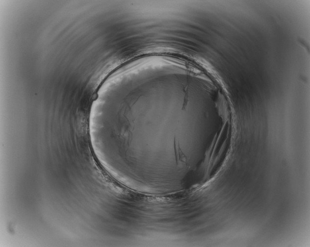 X0000099490945200806051055