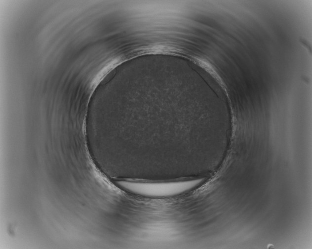 X0000099490946200806051055