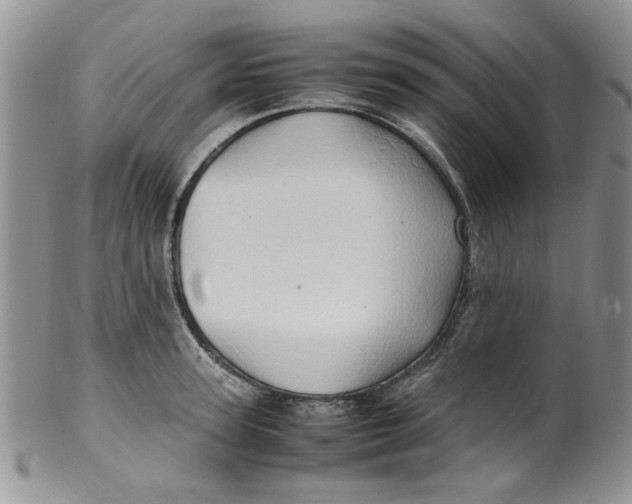 X0000099490947200806051055