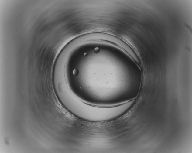 X0000099490948200806051055