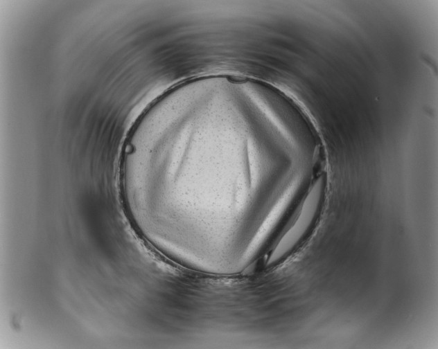 X0000099490949200806051055