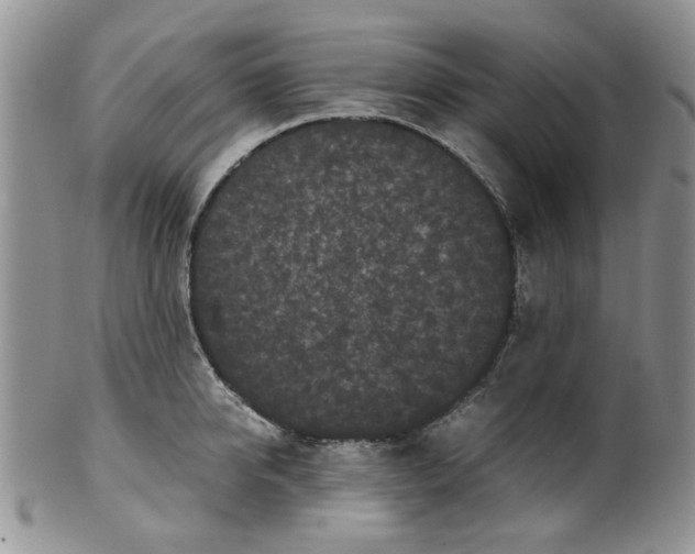 X0000099490950200806051055