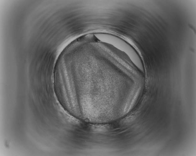 X0000099490951200806051055