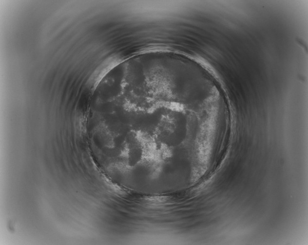 X0000099490953200806051055