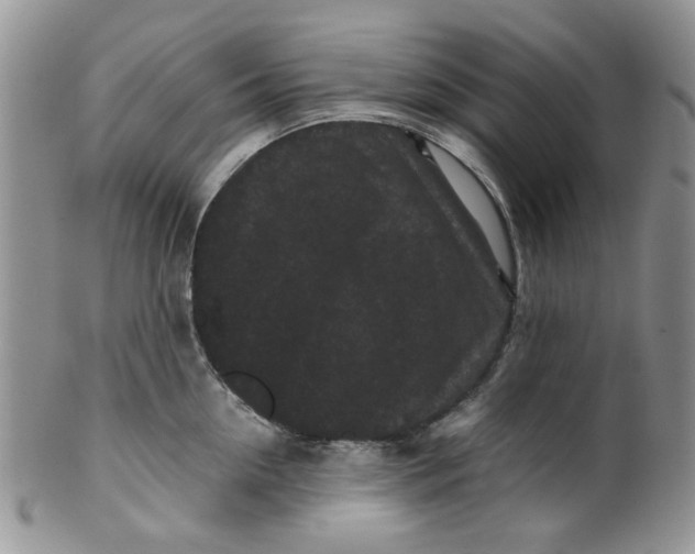 X0000099490954200806051055