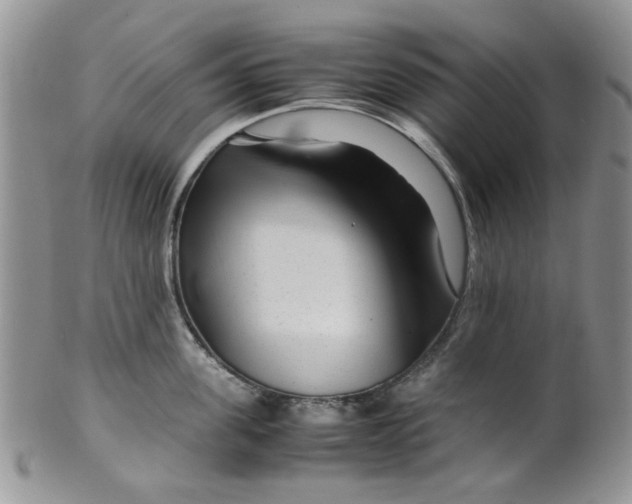 X0000099490955200806051055