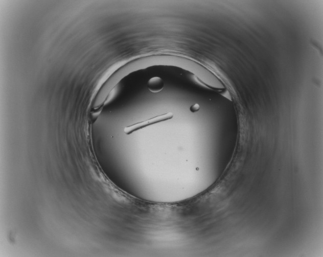 X0000099490956200806051055