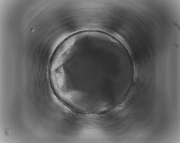 X0000099490958200806051055