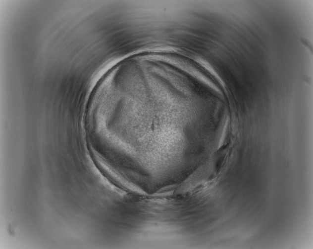 X0000099490959200806051055