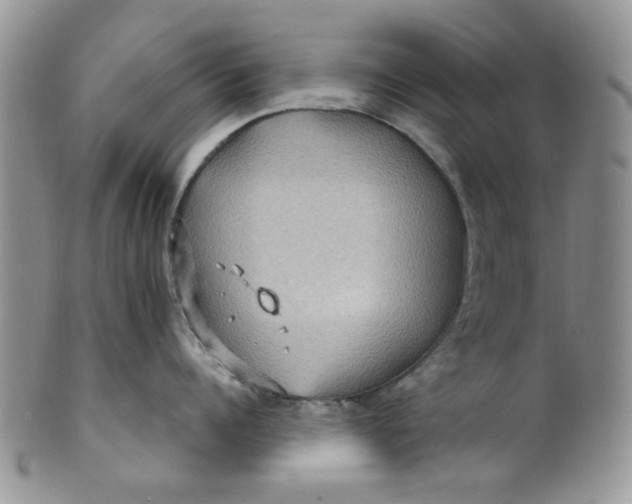 X0000099490960200806051055