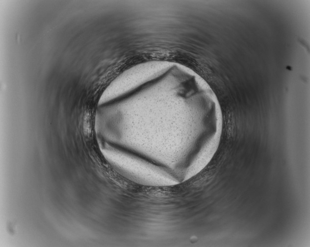 X0000099490962200806051055