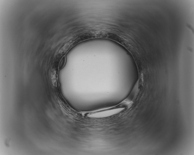 X0000099490963200806051055