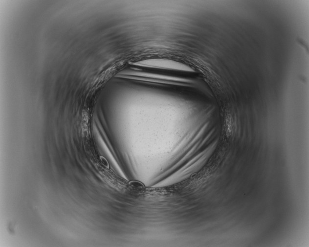 X0000099490964200806051055