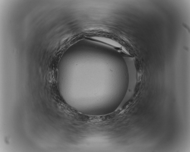 X0000099490965200806051055