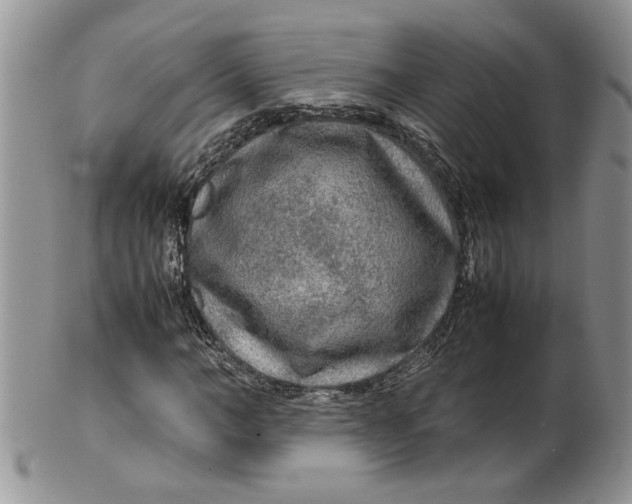 X0000099490966200806051055