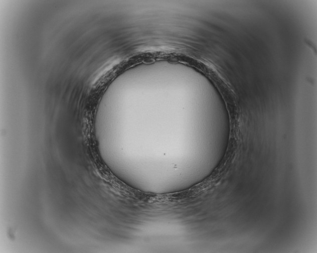 X0000099490967200806051055